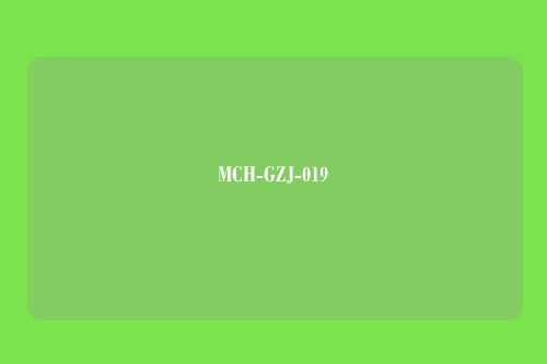 MCH-GZJ-019